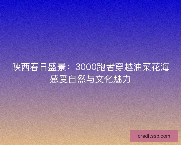 陕西春日盛景：3000跑者穿越油菜花海感受自然与文化魅力