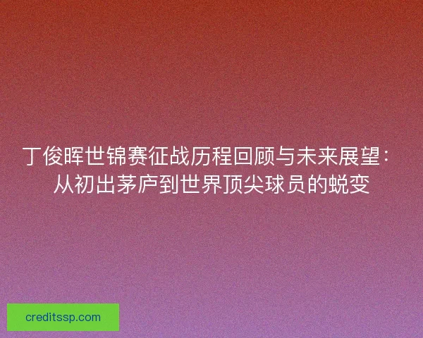 丁俊晖世锦赛征战历程回顾与未来展望：从初出茅庐到世界顶尖球员的蜕变