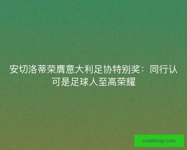 安切洛蒂荣膺意大利足协特别奖：同行认可是足球人至高荣耀