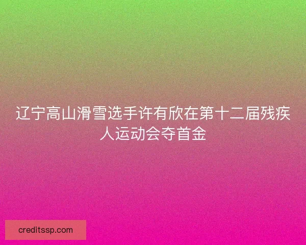 辽宁高山滑雪选手许有欣在第十二届残疾人运动会夺首金
