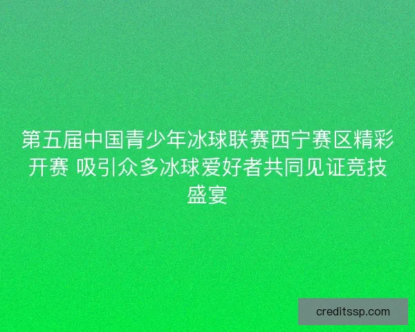 第五届中国青少年冰球联赛西宁赛区精彩开赛 吸引众多冰球爱好者共同见证竞技盛宴