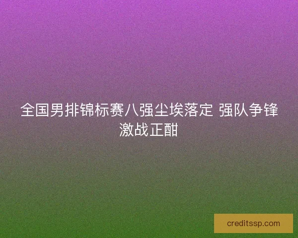 全国男排锦标赛八强尘埃落定 强队争锋激战正酣 全国男排锦标赛八强尘埃落定 强队争锋激战正酣